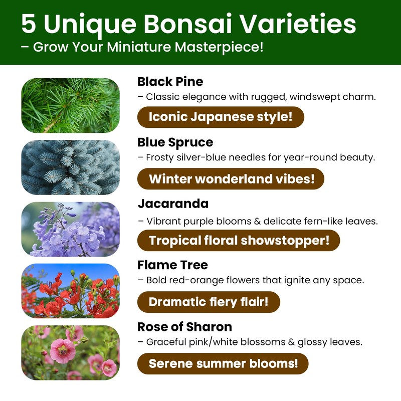 Bonsai Tree Kit for Beginners - 5 Unique Japanese Bonsai