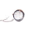 Ladyville Dandelion Necklace in Locket Stainless Steel Lucky Charm Gift