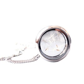 Ladyville Dandelion Necklace in Locket Stainless Steel Lucky Charm Gift for Women, Glass, No Gemstone