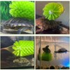 Turtle Brush with Suction Cup for Tank Scratches Back Brush