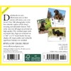 Dachshunds 2023 Box Calendar