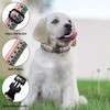 Colorful Aztec Pattern Dog Collars Soft Adjustable Collar Strap for