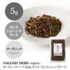 St. John's Wort Herbal Tea Organic 0.2 oz (5 g)