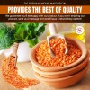 TAJ Gourmet Foods 64 Ounce Masoor Dal Red Lentils Easy