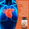 Bcuelov Cholesterol cleansing capsules, blood circulation, support cardiovascular health