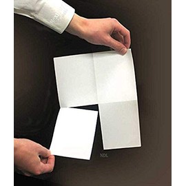 Limited Papers (TM) Perforated Paper, 4 Up, 20 Pound, 8.5" X 11". Perforated in 4 Pcs. of 4.5" X 5.5". (1 Horizontal 1 Vertical). 500 Sheets. Ideal for W-2 and 1099 Tax Forms, and More.