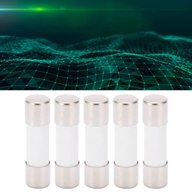 Lwuey Fuse Tube Photovoltaic Protection Set Kit, Slow Blow Fuses Tubes 1000V DC Fusetube Fast Acting Tube Fast Assortment Protect 2ms Time Constant 10x38mm Performance Replacements 5PCS(10A)