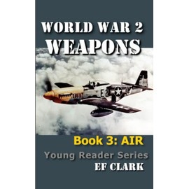 World War 2 Weapons Book 3: AIR