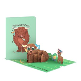 Lovepop Birthday Pop-Up Card for Her, Him, Men, Women - 3D Animal Greeting Cards - Let Your Hair Down - 5" x 7" - Blank Notecard & Envelope Included