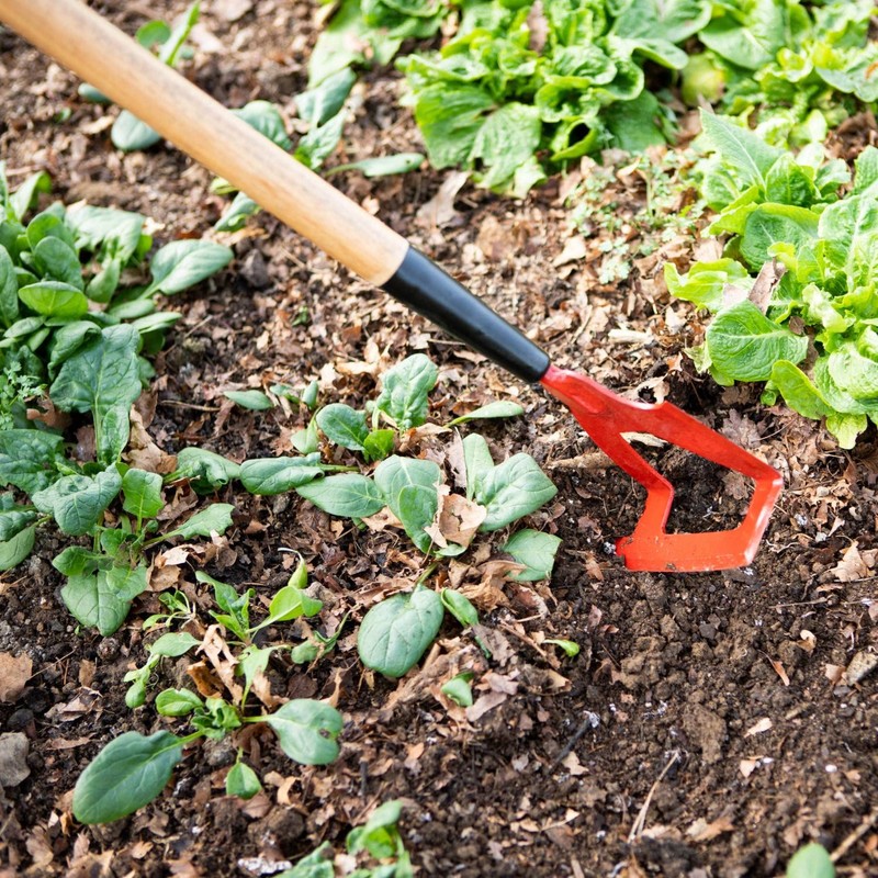 Lehman's Precision Garden Hoe, Amish Made Dutch, Push-Pull and Traditional