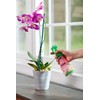 Miracle-Gro Ready-To-Use Orchid Plant Food Mist, 8 oz., Orchid Food