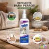 Fancy Pets Repelente para Perros Uso Interior 250 ml Entrenamiento