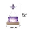 Joyzan Storm Glass Weather Predictor, Predicting Forecaster Glass Barometer Water