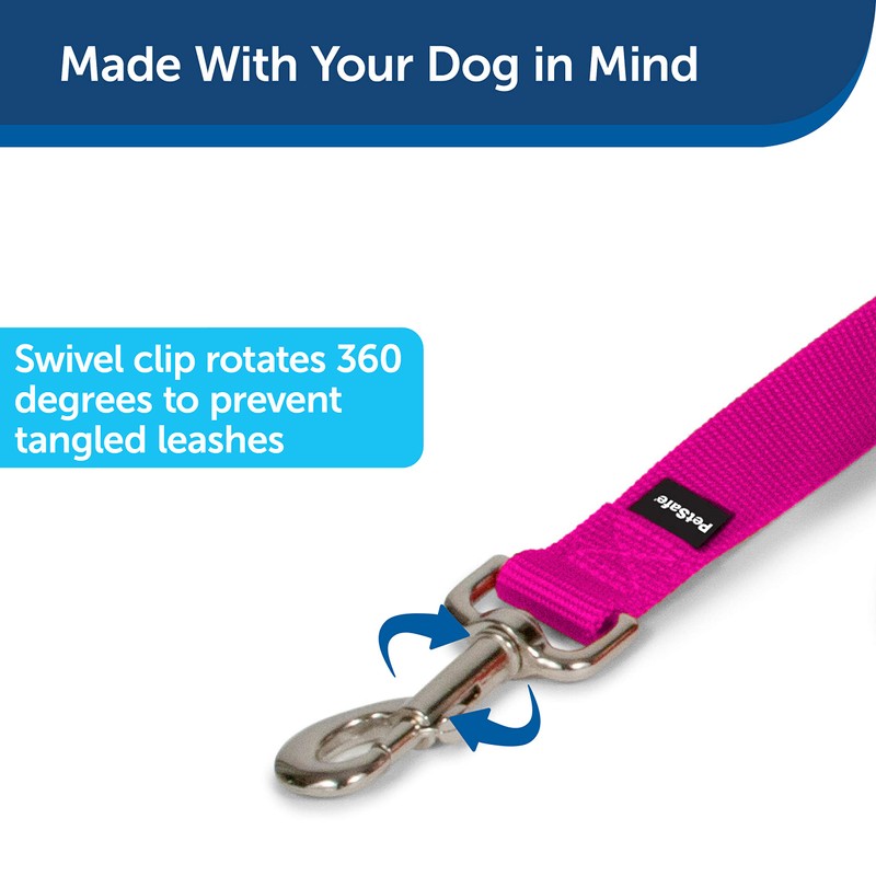 PetSafe Nylon Dog Leash - Strong, Durable, Traditional Style Leash