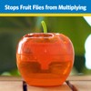 Raid Fruit Fly Trap with Lure, Easy to Use, Apple