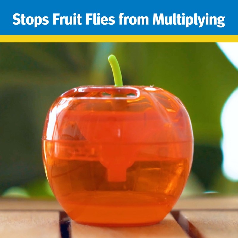 Raid Fruit Fly Trap with Lure, Easy to Use, Apple
