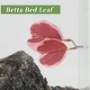 CAPASTEC Betta Fish Bed, Betta Leaf Bed, Plastic Betta Hammock,