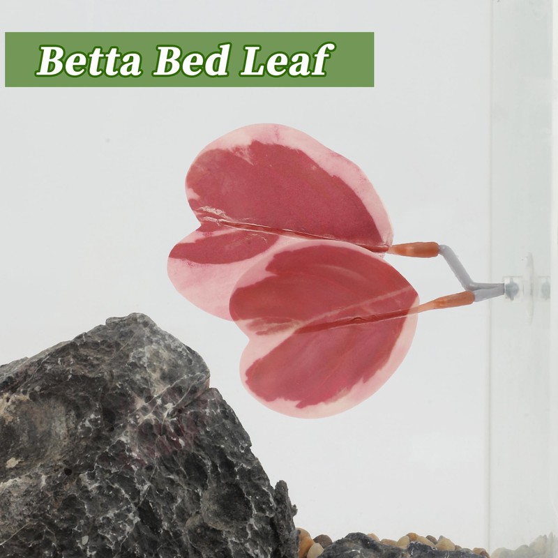 CAPASTEC Betta Fish Bed, Betta Leaf Bed, Plastic Betta Hammock,