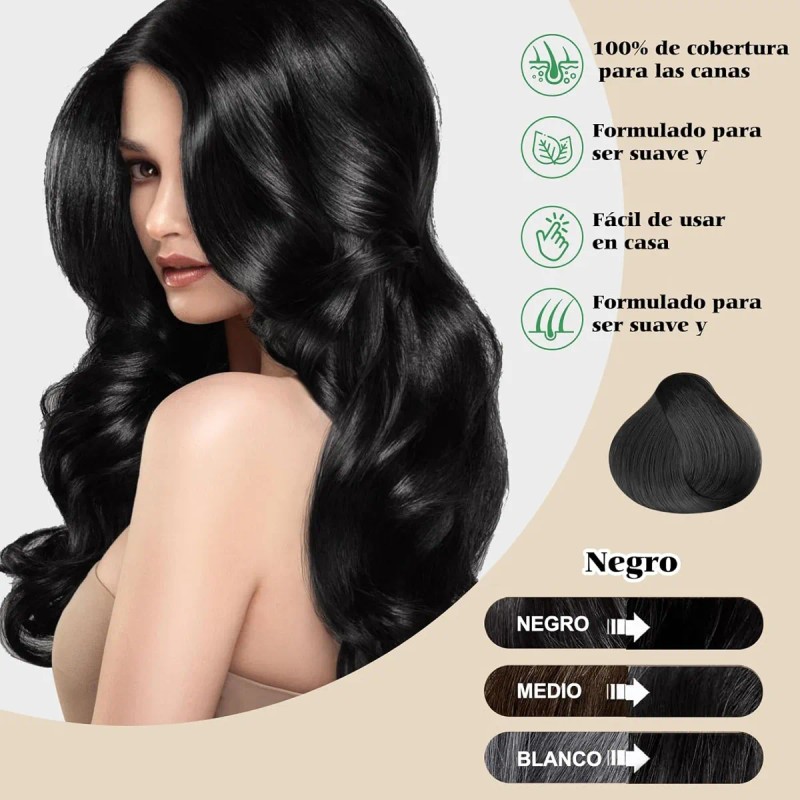Shampoo Para Canas 500ml Natural Jengibre Tinte Cubre Canas