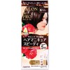 Salon De Pro Gray Hair Manicure Speedy 6 Dark Brown