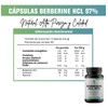 Berberina 600 Mg Hcl 97 Cúrcuma Piperina 60 Caps