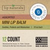 Lip Naturals® | Assorted Mini Lip Balm with Sunscreen (SPF-15)