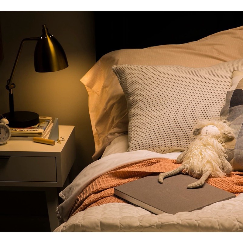 GE 67615 LED Soft White A19 Dimmable Light Bulb, 10