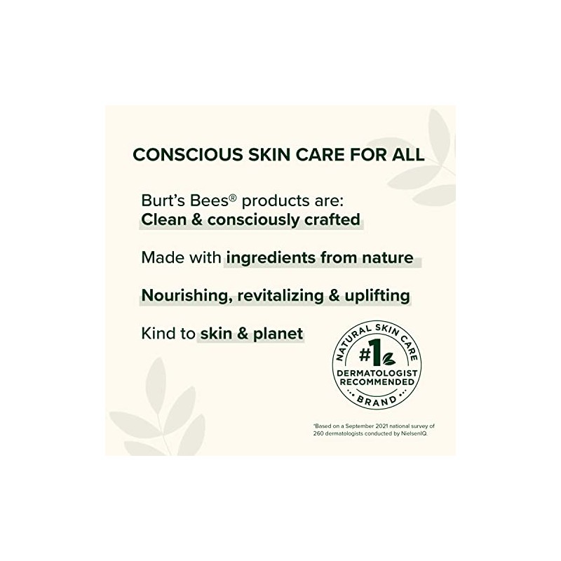 Burts Bees Peach Willow Bark Deep Pore Scrub for Women