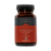 Terranova Antioxidant Nutrient Complex, 100 Vegetarian Complex
