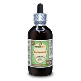 Watermelon (Cucurbita Citrullus) Glycerite, Organic Dried Seeds Alcohol-Free Liquid Extract (Brand Name: HerbalTerra, Proudly Made in USA) 4 fl.oz (120 ml)