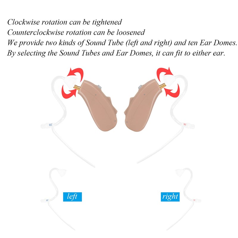 Banglijian Hearing Aid Ziv-201A Rechargeable Digital Noise Cancelling Small Size