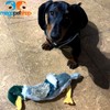 Pawise "Stuffless Duck Dog Toy, 45 cm, Large