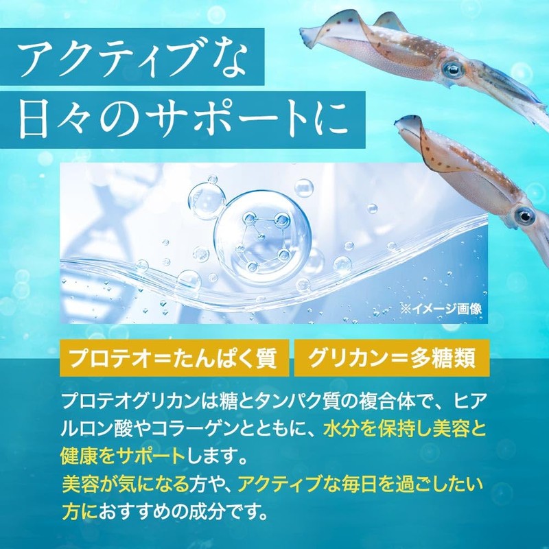 オーガランド プロテオグリカン パウダー 6g 粉末 イカ由来 イカ頭部軟骨抽出物 軟骨 膝 国内製造