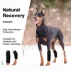ROZKITCH Dog Leg Protector for Rear Hock Joint or Front