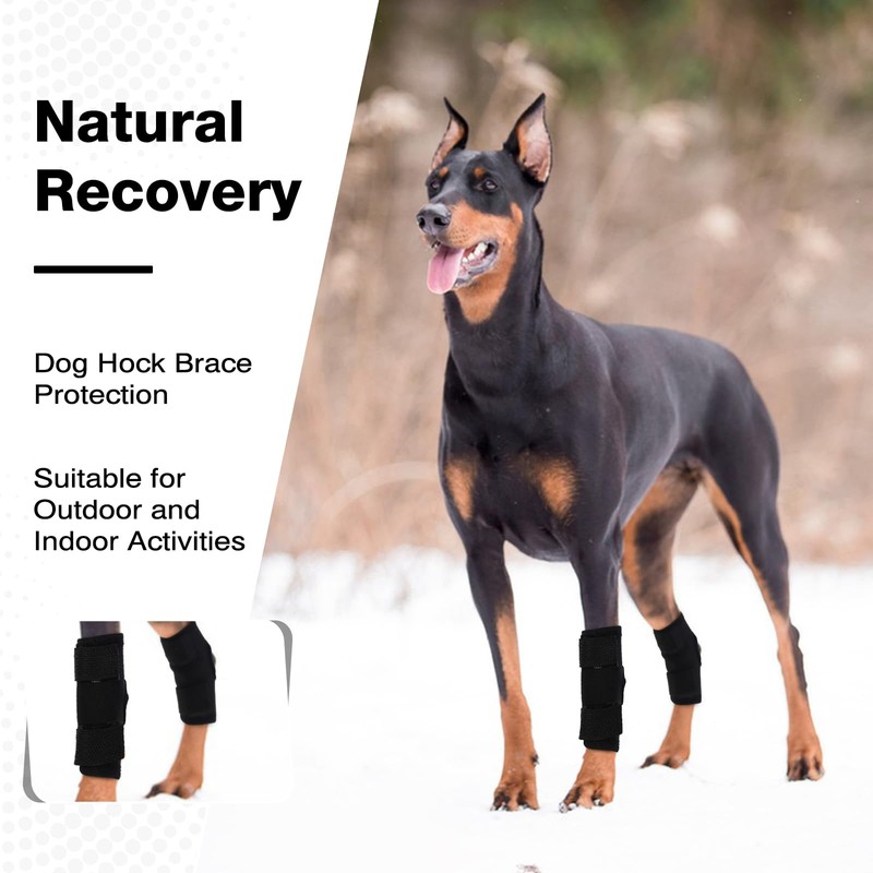 ROZKITCH Dog Leg Protector for Rear Hock Joint or Front