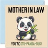 Mother in Law Birthday Cards - Stu-Panda-ous - Funny Birthday