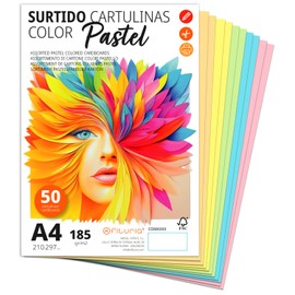 Colourful Cardboard Boxes A4, Coloured Sheets A4 for Crafts, Education, Home, Art or Office, Coloured Cardboard Boxes A4 Pastel Colours - Ofituria (50 Sheets, Pastel Assortment)