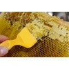 Aliotech Beekeeping Stainless Steel Uncapping Fork with 21 Tines Stainless