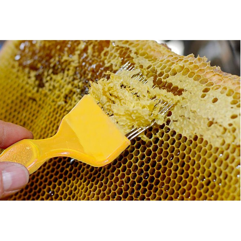 Aliotech Beekeeping Stainless Steel Uncapping Fork with 21 Tines Stainless