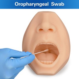 Hisopo nasal, modelo de entrenamiento de la colección de hisopos de garganta, acupuntura, simulador de práctica de pinchazos (blanco)