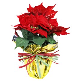 FPP-805 Christmas Flower, Poinsettia, Artificial Flowers, Photocatalyst, Velvet Material