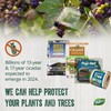 Dalen Cicada-X Tree & Shrub Protective Netting – Protect Your
