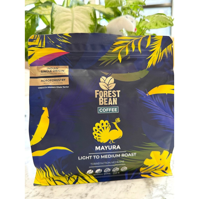 Forest Bean Mayura Coffee, 100% Arabica, Single-Origin Indian, LIGHT TO
