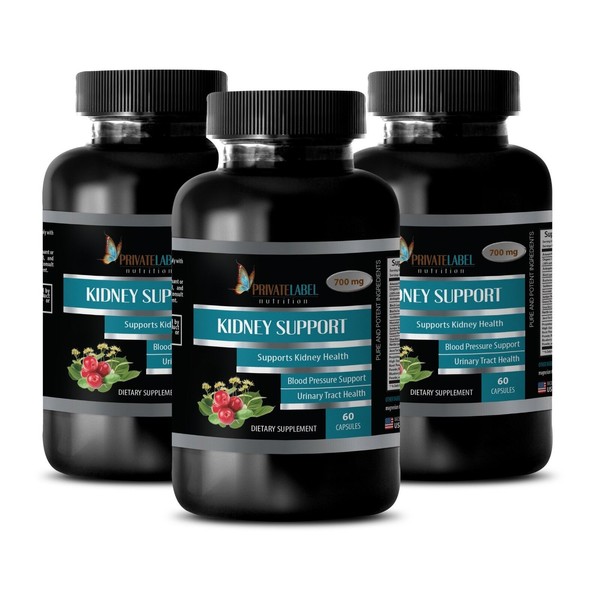 Ginger root - KIDNEY SUPPORT COMPLEX 700mg - immune support tablets - 3 Bottles