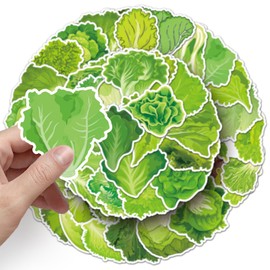 50 Lettuce Leaves Vinyl Waterproof Aesthetical Scrapbooking Sticker Pack for Laptop, Boys, Girls, Adult Stickers (Lettuce)