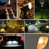 Diximus Landscape Lights - Pack of 10, Low Voltage, T5