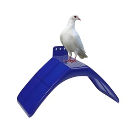 Plastic Pigeon Perch Stand – Bird Cage Accessories for Parrots, Doves, Pigeons – Wall-Mounted Rest Platform for Pet Birds – Durable Cage Perch for Indoor or Outdoor Use