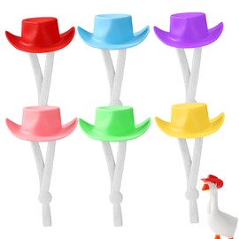 6pcs Desk Goose Outfits Headwear, Plastic Adorable Colorful Cowboy Hats Funny Animal Outfits Accessories Decoration Suitable for 7 Inch Mini Desk Goose (6 Colors)