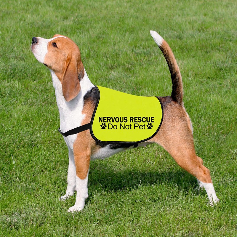 Nervous Ask To Pet/Do Not Approach Jacket - Rescue Dog