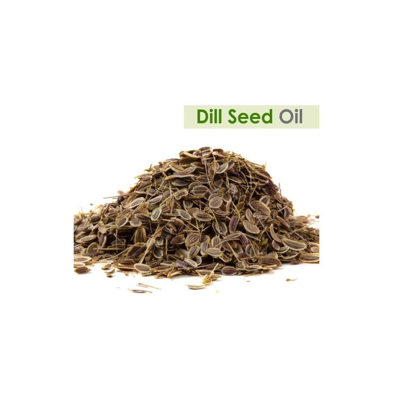 Crysalis Crysalis Dill Seed (Anethum Graveolens) Oil - 1.01 Fl